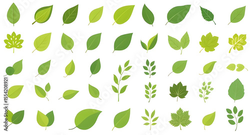 Set of green leaves, Green foliage set, Botanical leaves, Leaf collection, Nature leaf pack, Leaf clipart, Leaf vector set, Lush green leaves, Fresh leaves illustration, Tropical leaf set, Spring leav