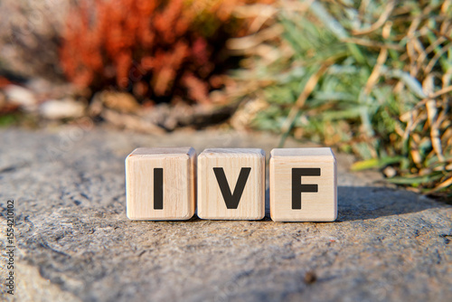 IVT - text on cubes standing on a stone on a natural background