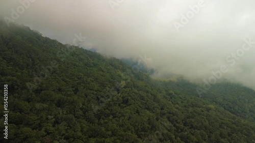 Wallpaper Mural Dense tropical forest blankets the slopes of Mount Apo as thick clouds move low above the treetops, creating a dramatic, secluded landscape high in the mountains of Mindanao, Philippines. Torontodigital.ca