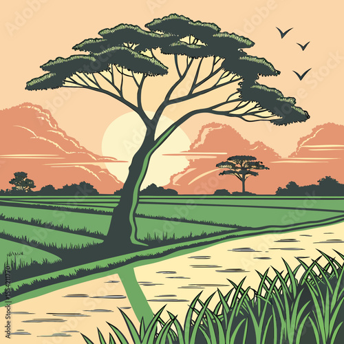 Serene Landscape Illustration of Rice Fields River and Acacia Tree at Sunset with Birds Flying in the Sky Depicting a Peaceful Rural Scene