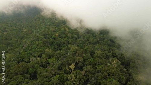 Wallpaper Mural Low clouds drift over dense rainforest on the slopes of Mount Apo, revealing a vast, untouched green landscape and atmospheric beauty of the highlands in Davao, Mindanao. Torontodigital.ca