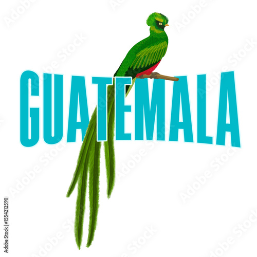 Guatemala quetzal national symbol bird banner.