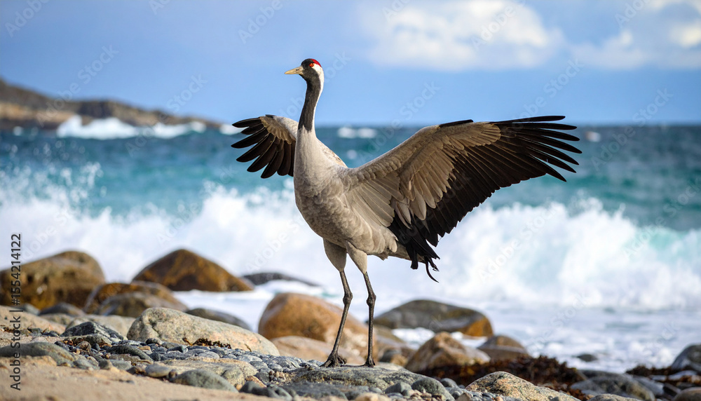 Fototapeta premium Crane Bird