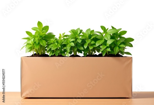 Five Herb Plants in Brown Cardboard Planter – Fresh Organic Kitchen Garden Concept


