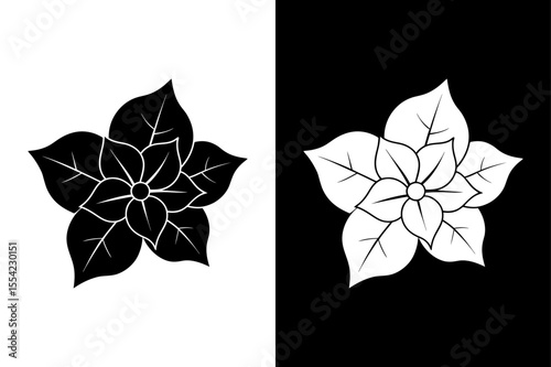 Blooming Bougainvillea Branch Silhouette with Inflorescence on White black Background