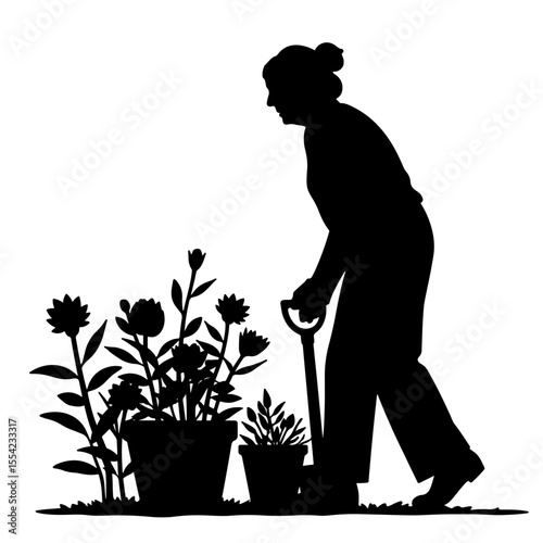 Senior woman gardening silhouette, nurturing plants, senior lifestyle