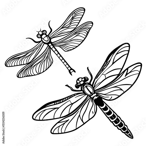set of dragonfly