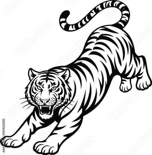 Aggressive Tiger in Attack Pose Black and White Vector Illustration