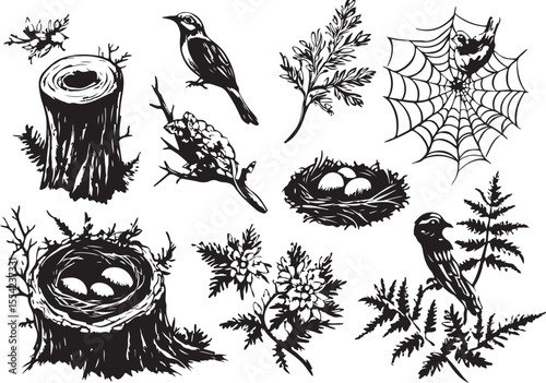 Vector forest wildlife icon set in black and white stock illustration