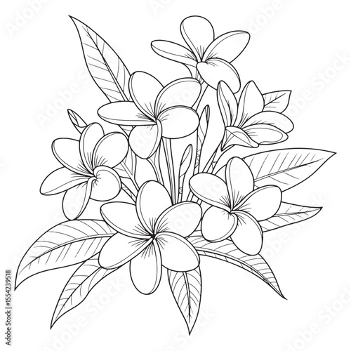 Elegant Frangipani Flower Arrangement A Serene Composition of Tropical Beauty with Detailed Line Art and Harmonious Floral Elements