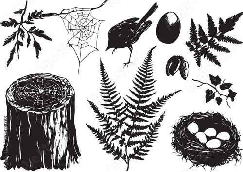 Vector forest wildlife icon set in black and white stock illustration
