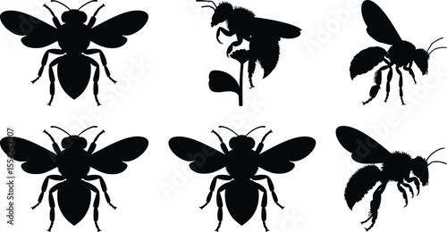 Realistic bee silhouette vector collection with detailed flying and sitting honey bee for decoration