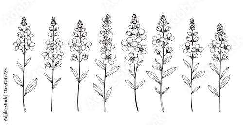 Collection of delicate floral stems with blooming flowers in a simple outline silhouette style