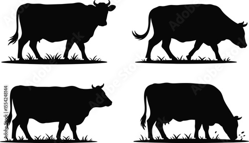 Cow silhouette vector set with grazing, walking, and standing cattle for farm, agriculture, and animal design