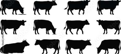 Cow silhouette vector collection with various cattle poses for farm, agriculture, and animal design