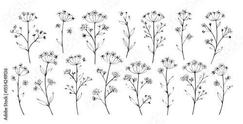 Collection of delicate wildflowers in a simple line drawing silhouette style