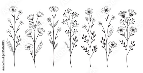 Collection of delicate wildflower stems with detailed floral elements silhouette
