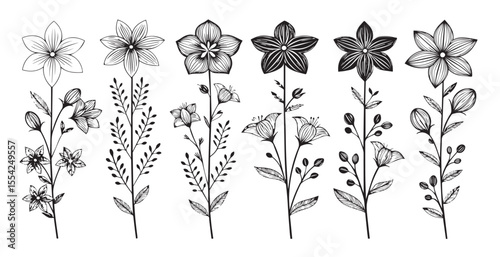 Collection of delicate floral stems with detailed line art flower silhouettes silhouette