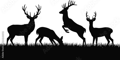 Deer group silhouette vector collection with stag, doe, and grazing deer for wildlife, forest, and animal design