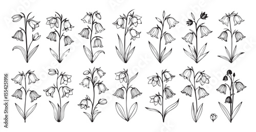 Collection of delicate bluebell flower illustrations in a simple line art silhouette style