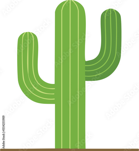 green cactus flat isolated