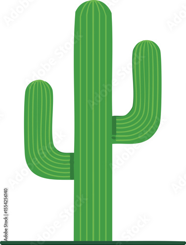 green cactus flat isolated