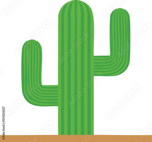 green cactus flat isolated