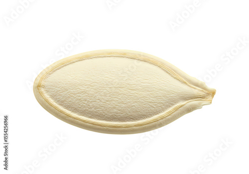 Close-up of a Single Pumpkin Seed: Texture, Detail, and Nutritional Value