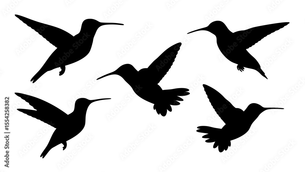 Obraz premium humming bird silhouette vector illustration on tranparent background