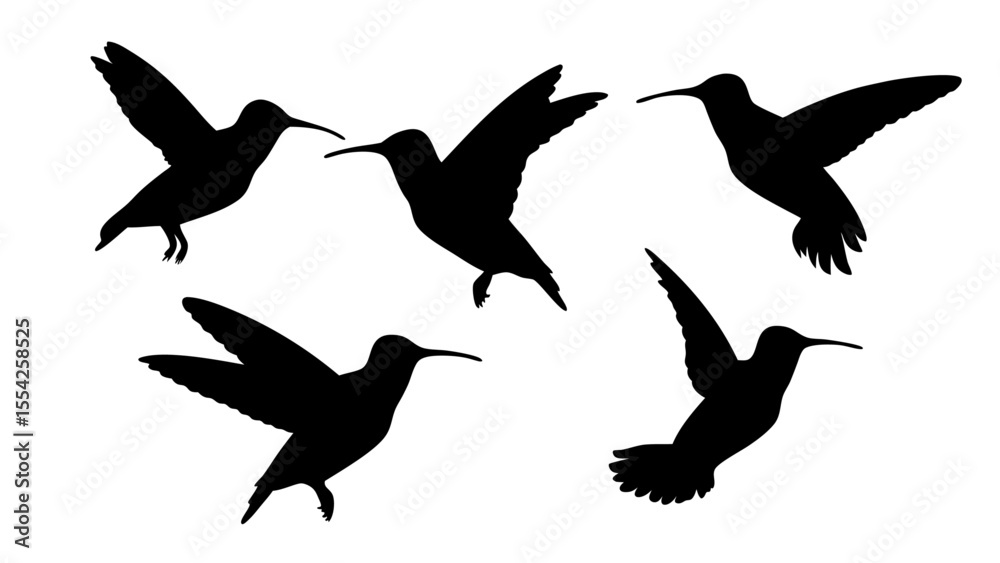 Fototapeta premium humming bird silhouette vector illustration on tranparent background