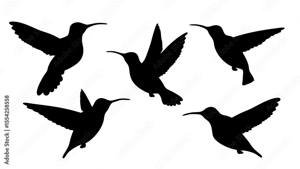 Fototapeta premium humming bird silhouette vector illustration on tranparent background