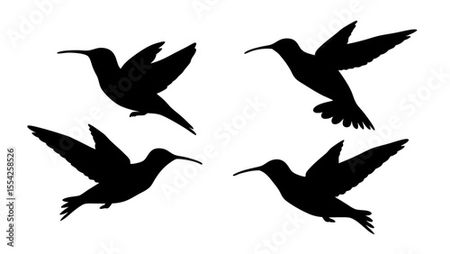 humming bird silhouette vector illustration on tranparent background