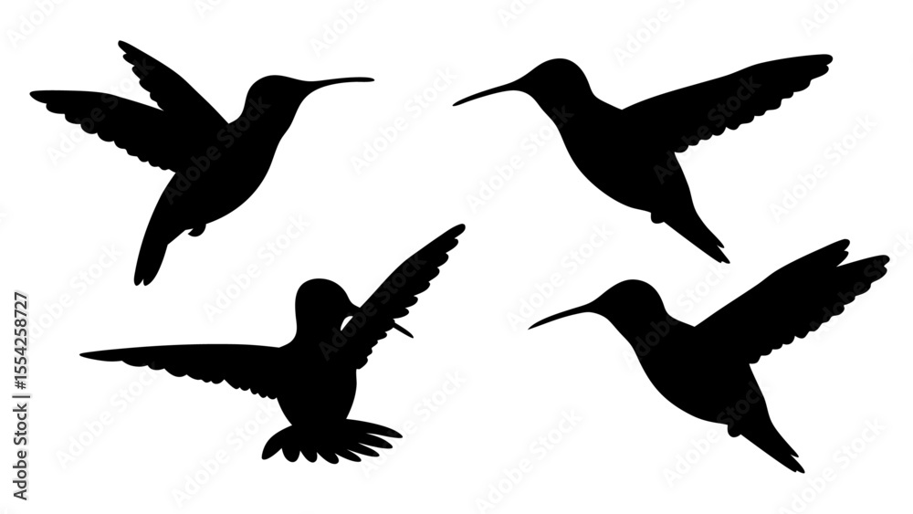Naklejka premium humming bird silhouette vector illustration on tranparent background