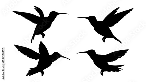 humming bird silhouette vector illustration on tranparent background