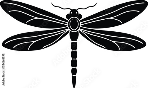 dragonfly illustration