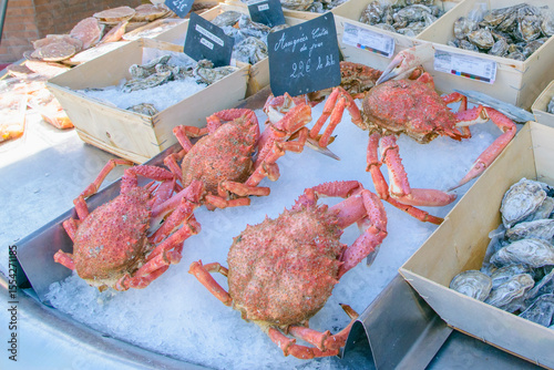 Fresh seafood display featuring crabs and oysters at a market in sunny seaside location
