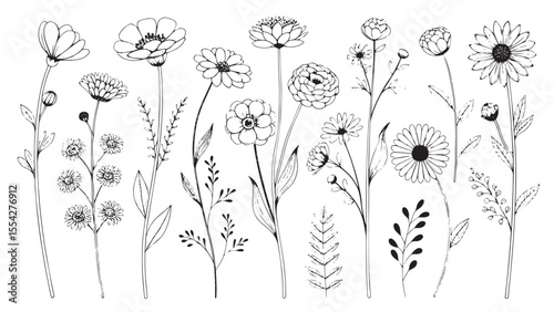 Collection of delicate hand drawn botanical flowers and leaves silhouette