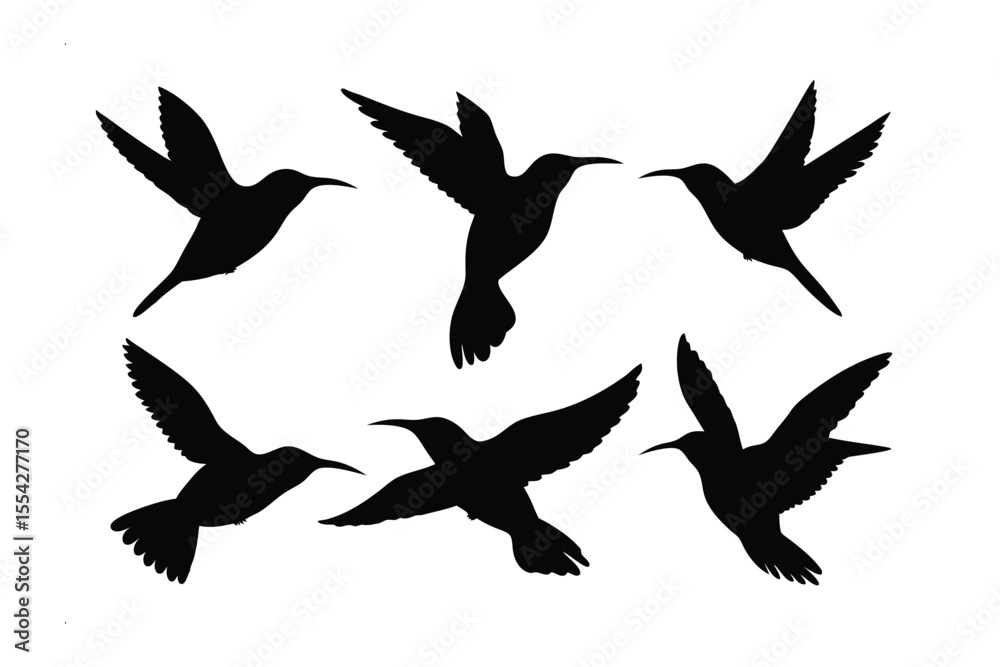 Obraz premium Hummingbird Silhouette Collection: A striking collection of hummingbird silhouettes in various flight poses, epitomizing grace and agility, ideal for design and artistic projects.