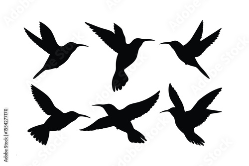 Hummingbird Silhouette Collection: A striking collection of hummingbird silhouettes in various flight poses, epitomizing grace and agility, ideal for design and artistic projects.