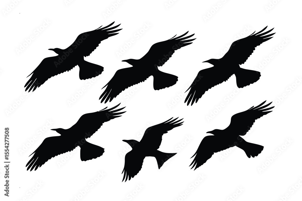 Obraz premium Flying Crows Silhouette: A flock of crows soars gracefully across the sky, their dark silhouettes standing out in stark contrast, presenting a stunning visual of freedom and movement.