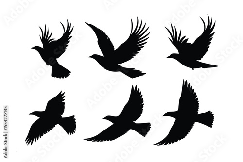 Bird Silhouette: A series of vector silhouettes depict various birds in flight, showcasing the grace and freedom of avian movement.