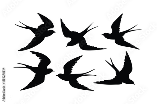 Silhouette Symphony: A collection of streamlined avian forms, poised in mid-flight against a clean backdrop, symbolizes freedom and the allure of the skies.