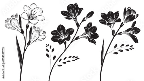 Elegant black and white floral silhouette with delicate line art detail