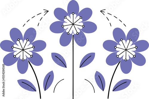 Flowers in a vector pressure chamber, each petal puffing, curling, or flattening depending on pressure level