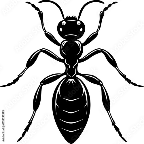 Vector illustration of black ant
