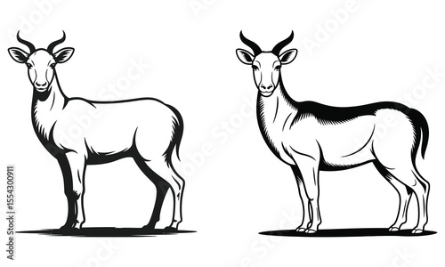 silhouette of a deer
