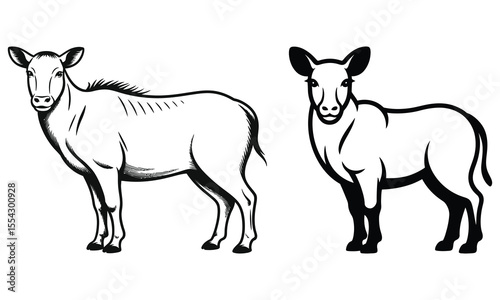 vector illustration of a donkey