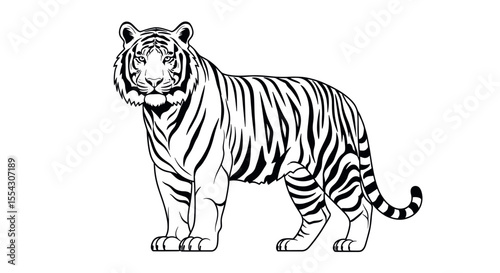 Detailed Illustration of a Majestic Tiger Standing Proud with Distinct Stripes and Fierce Expression