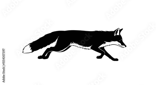 Silhouette of a Fox Walking Stealthily Highlighting Its Agile Form and Bushy Tail