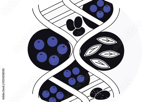 DNA helix made from superfoods arranged as a twisted vector sequence